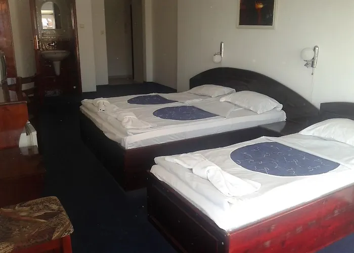 семеен елена палас 2*